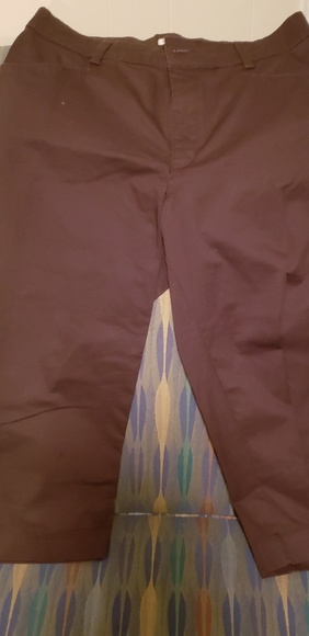 Capris - Picture 1 of 1